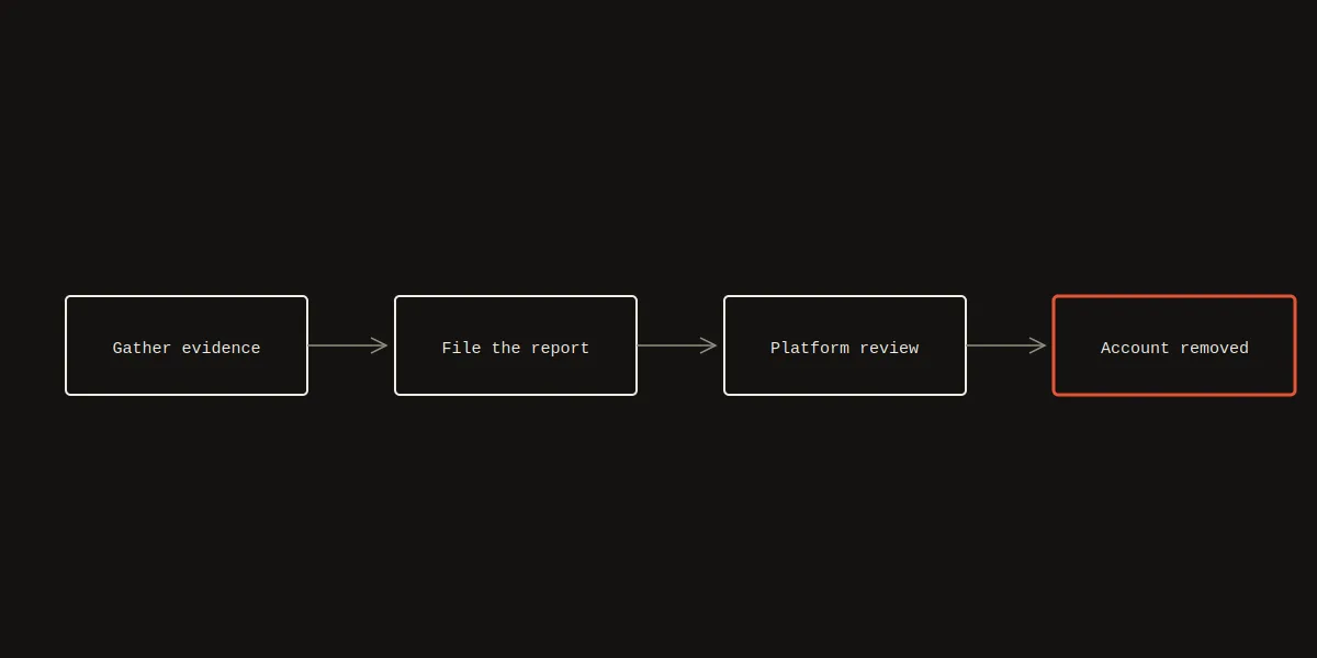 Instagram report spam bot flow: gather evidence, file the report, platform review, account removed
